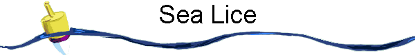 Sea Lice