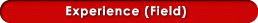 Experience (Field)