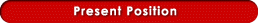 Present Position
